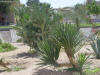 EGY04352.JPG